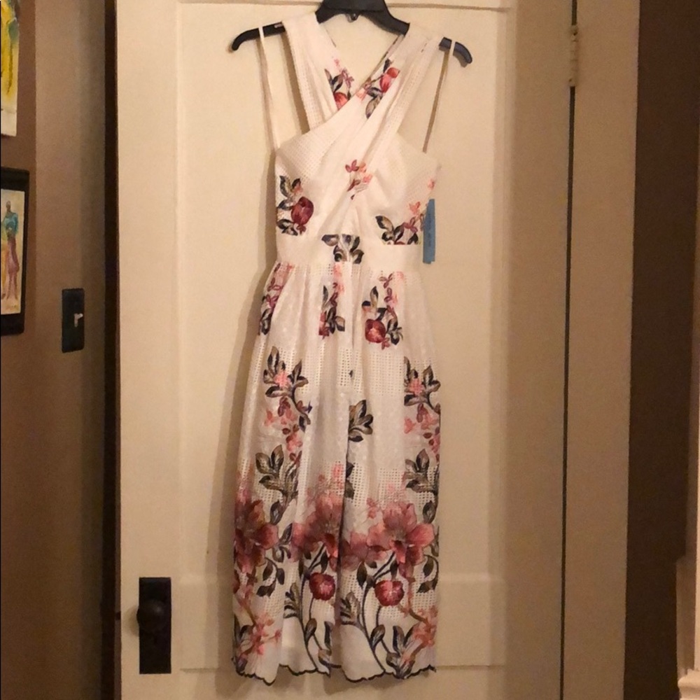 NWT Antonio Melani Dress